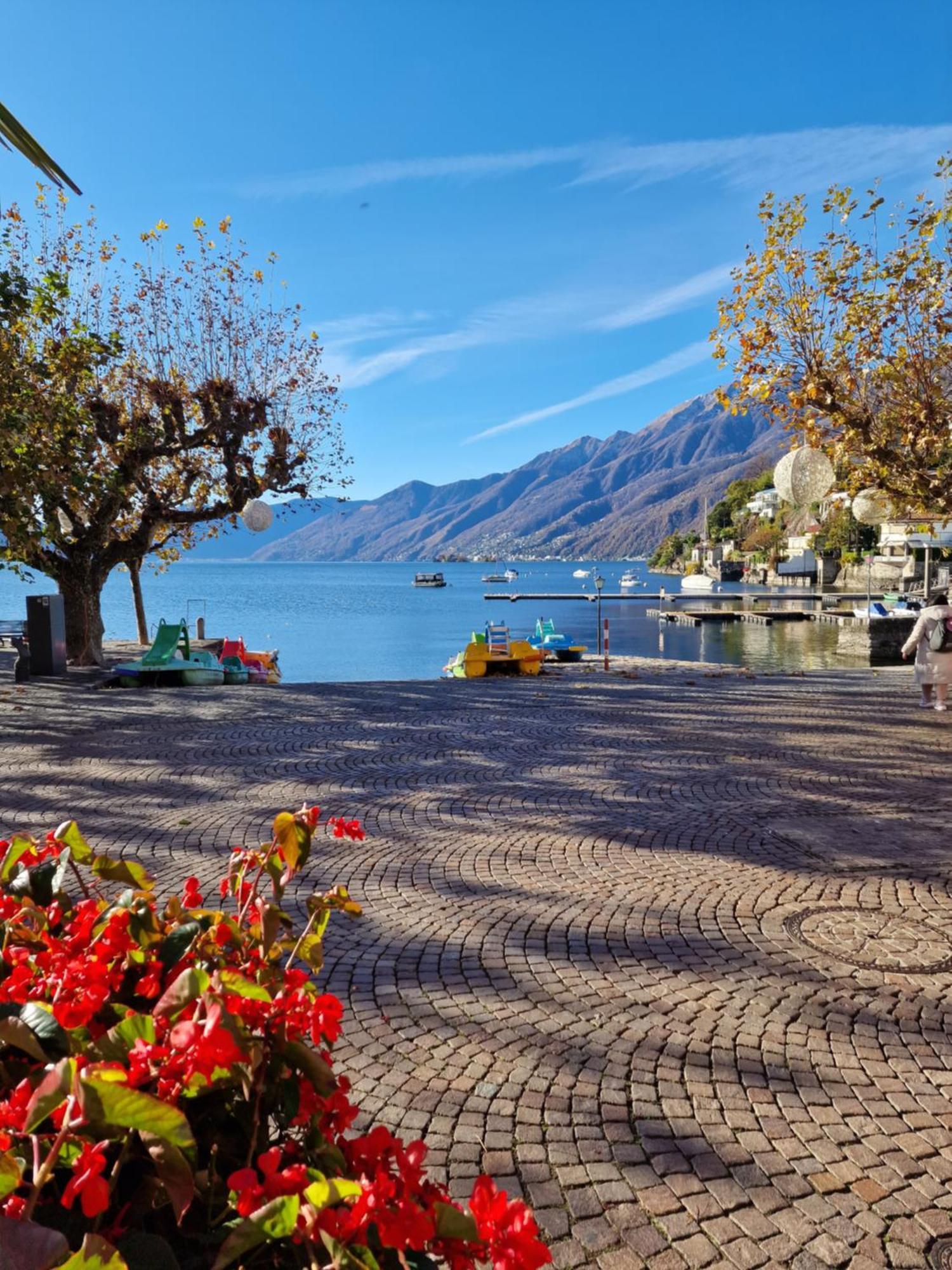 Hotel Elvezia Ascona Exteriör bild
